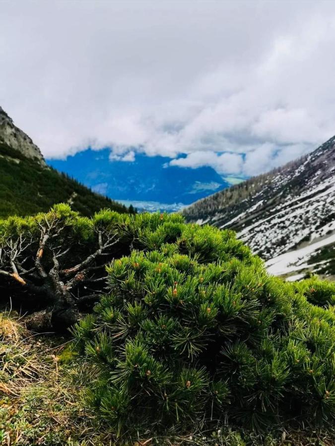 Apart Waldesruh Arzl im Pitztal Exterior foto